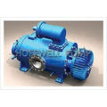 CE Approved 2W. W Double Screw Fuel Pump